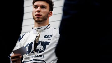 Gasly portret