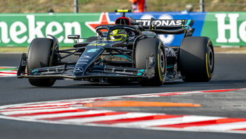 LIVE: Reaction as Hamilton storms to Hungary pole, Verstappen second