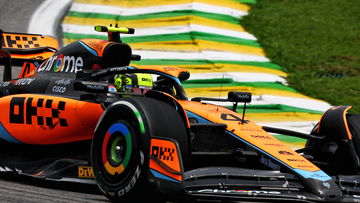 Norris takes Sprint pole after lengthy crash delay