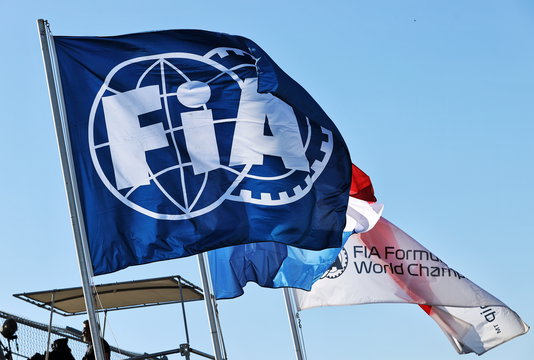 FIA flag