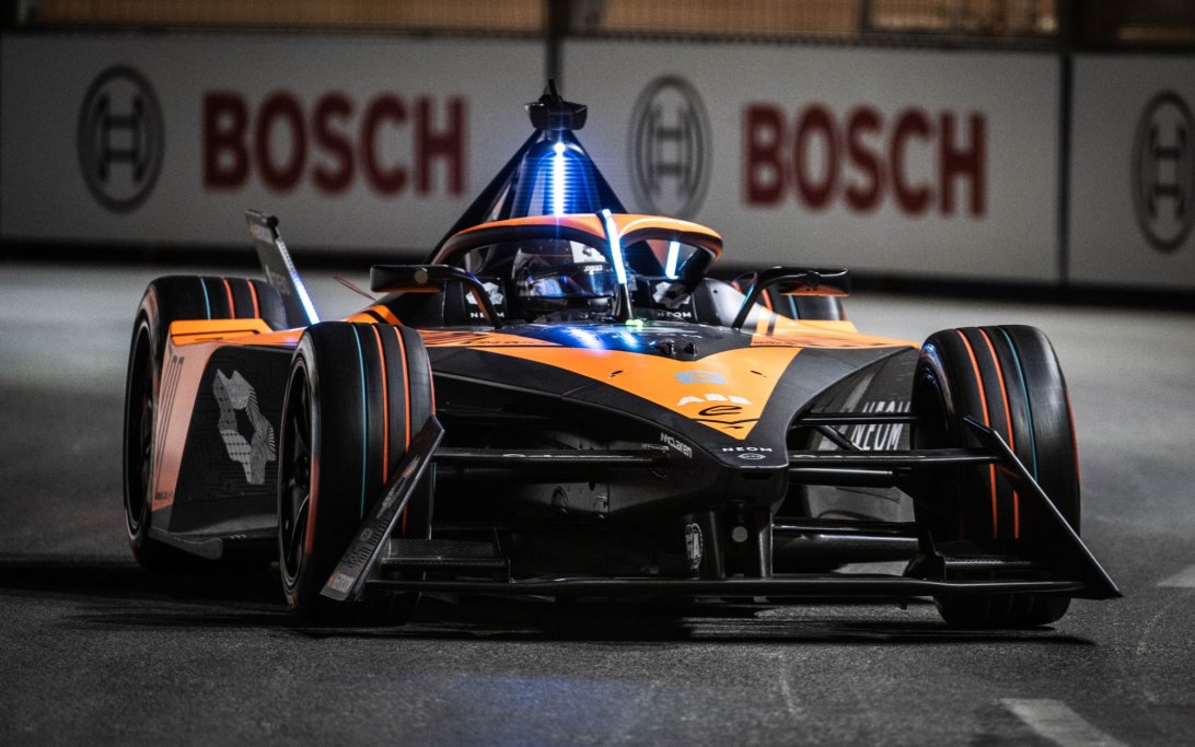 Bird – Diriyah – 2024