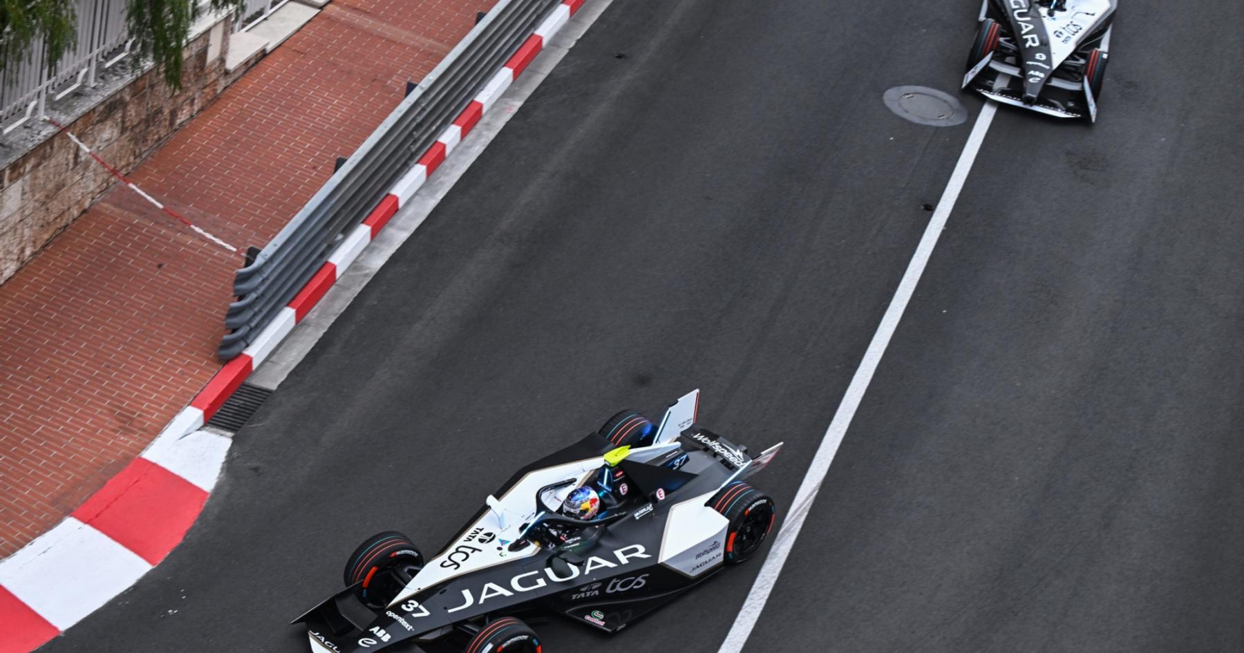 The Surprising Rise of Sonsie That Nobody Predicted