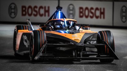 Bird – Diriyah – 2024