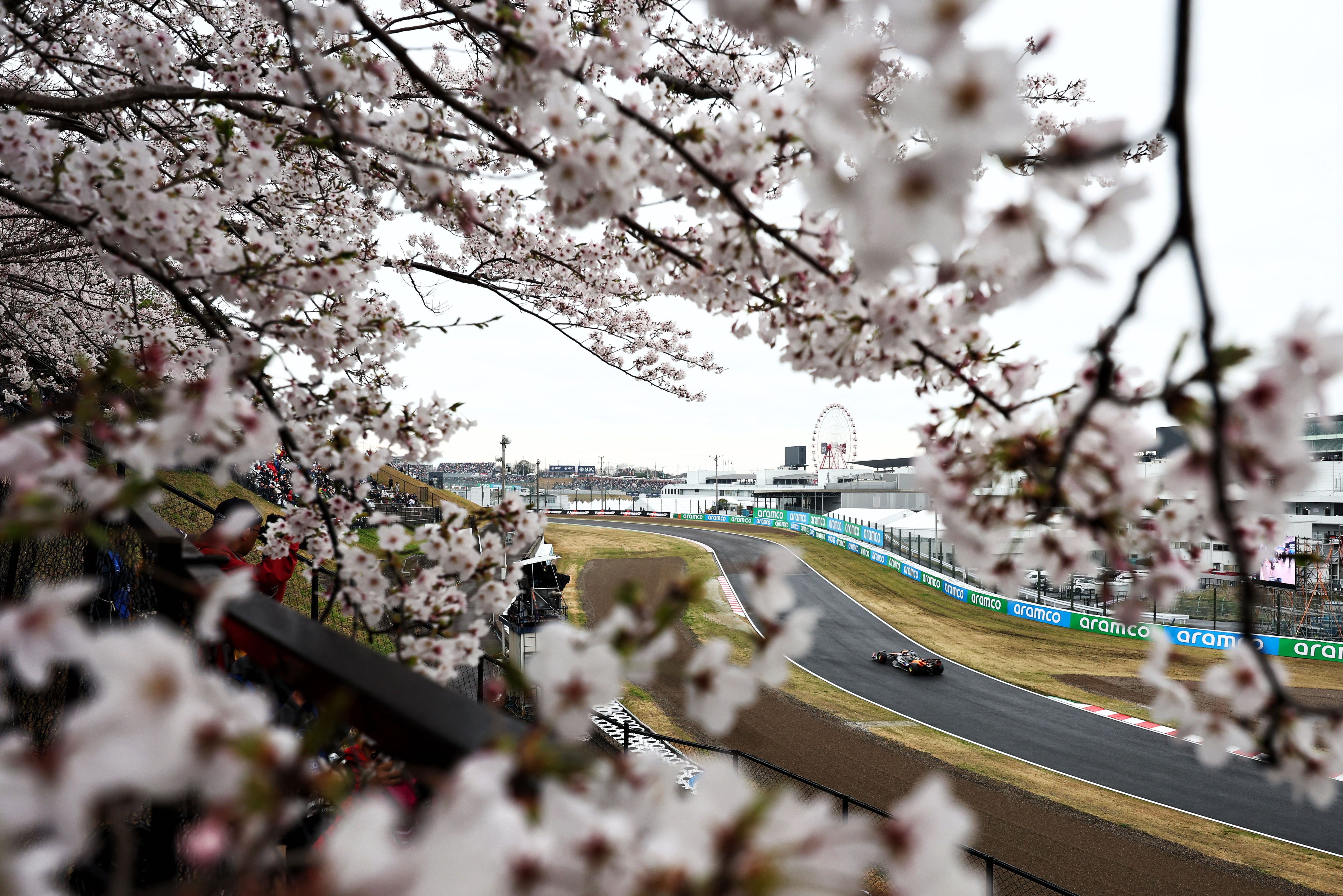GP Japan 2024 Bloesem