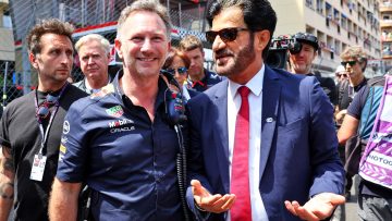 Horner backs FIA over F1 regulations