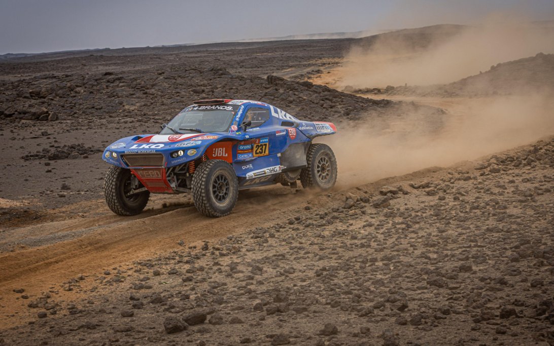 237 magnustorquato04 9833 118319