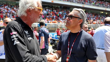 Renault CEO sensationally quits car manufacturer