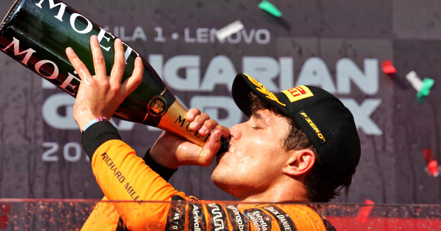 Lando Norris hits 'gamble' jackpot as Lewis Hamilton in despair - Hungarian GP Winners and Losers