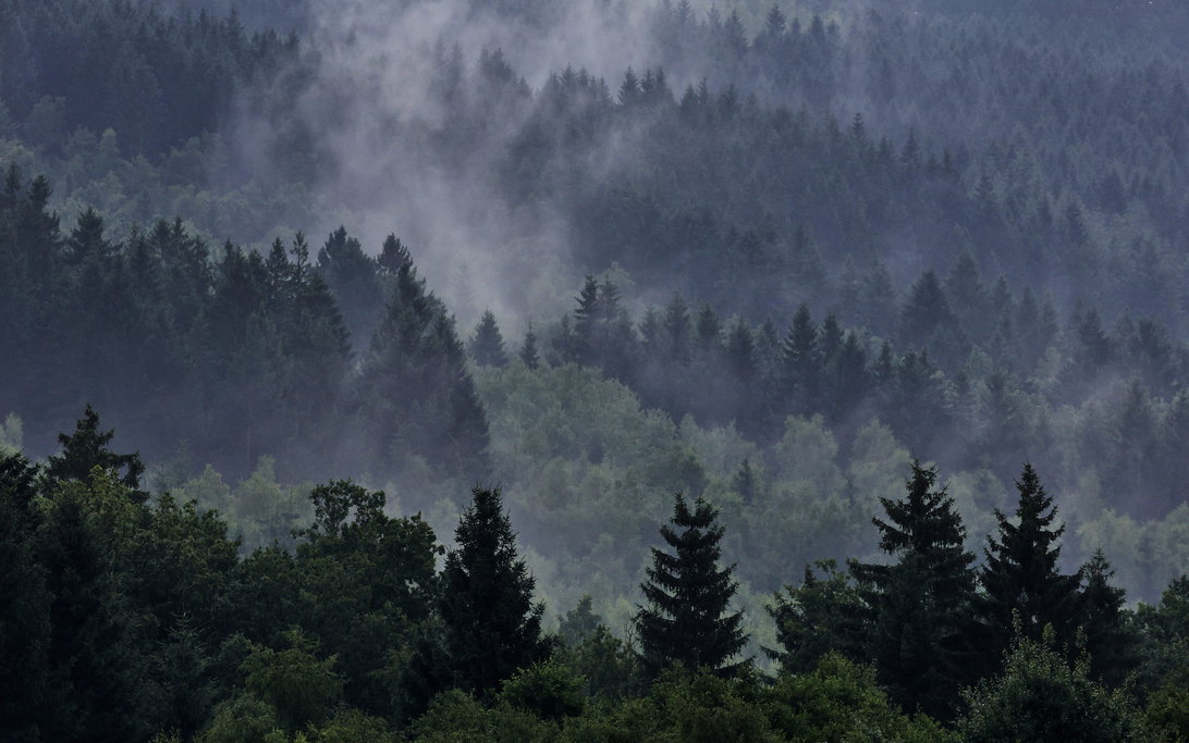Belgium fog