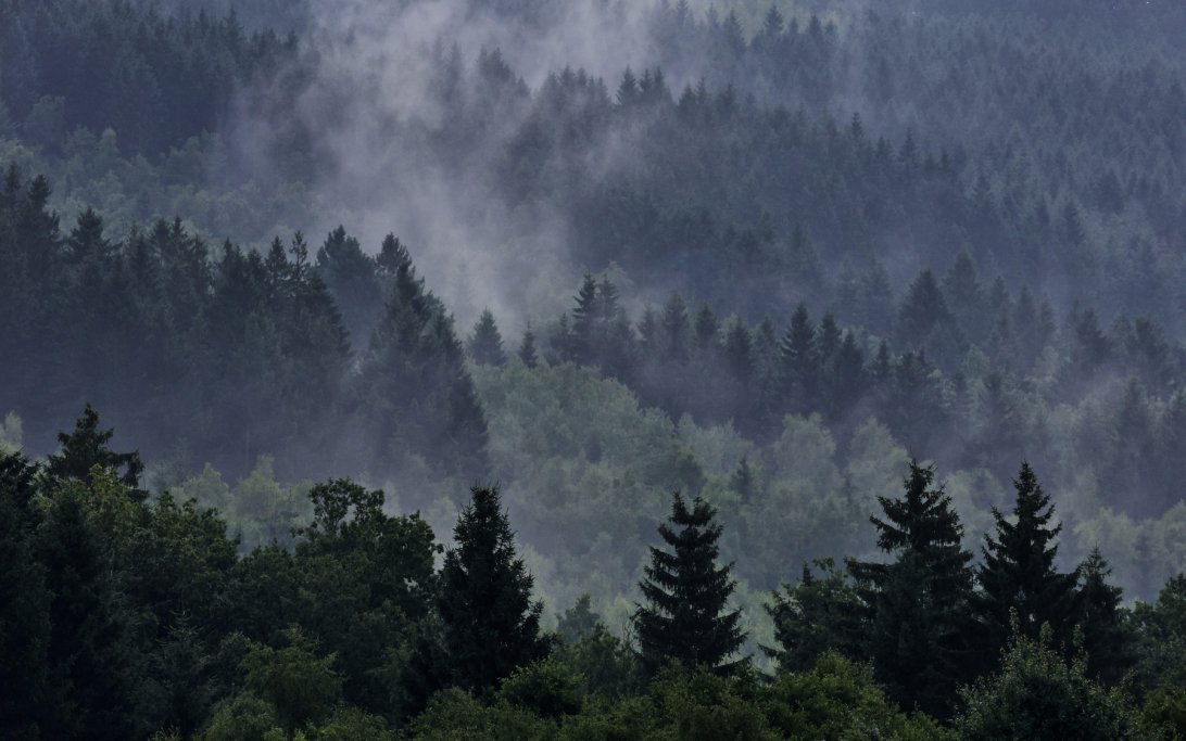 Belgium fog