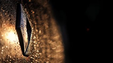 Breaking: CEO Renault stapt op