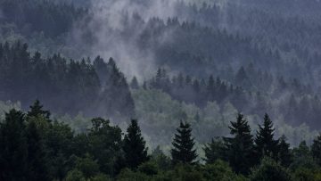 Spa-Francorchamps past tijdschema aan vanwege slecht zicht