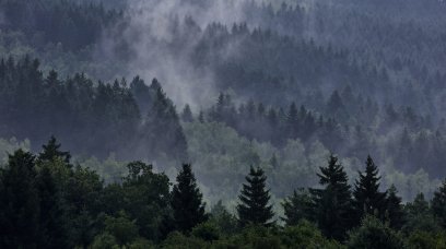 Belgium fog