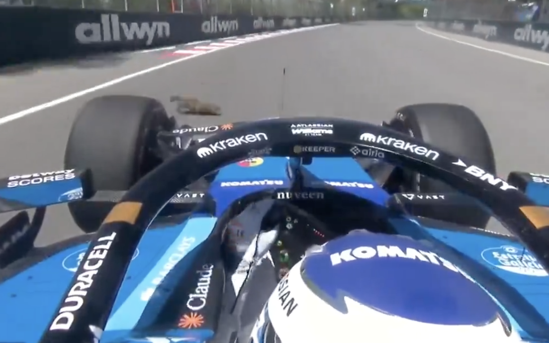 Williams reveal extent of car damage after Alex Albon hits marmot