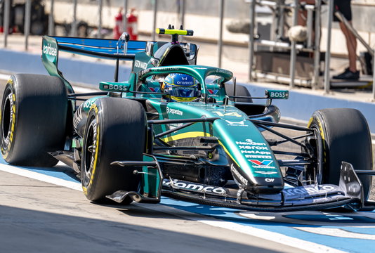 Alonso - Bahrain Test 2 - Day 1 - Morning