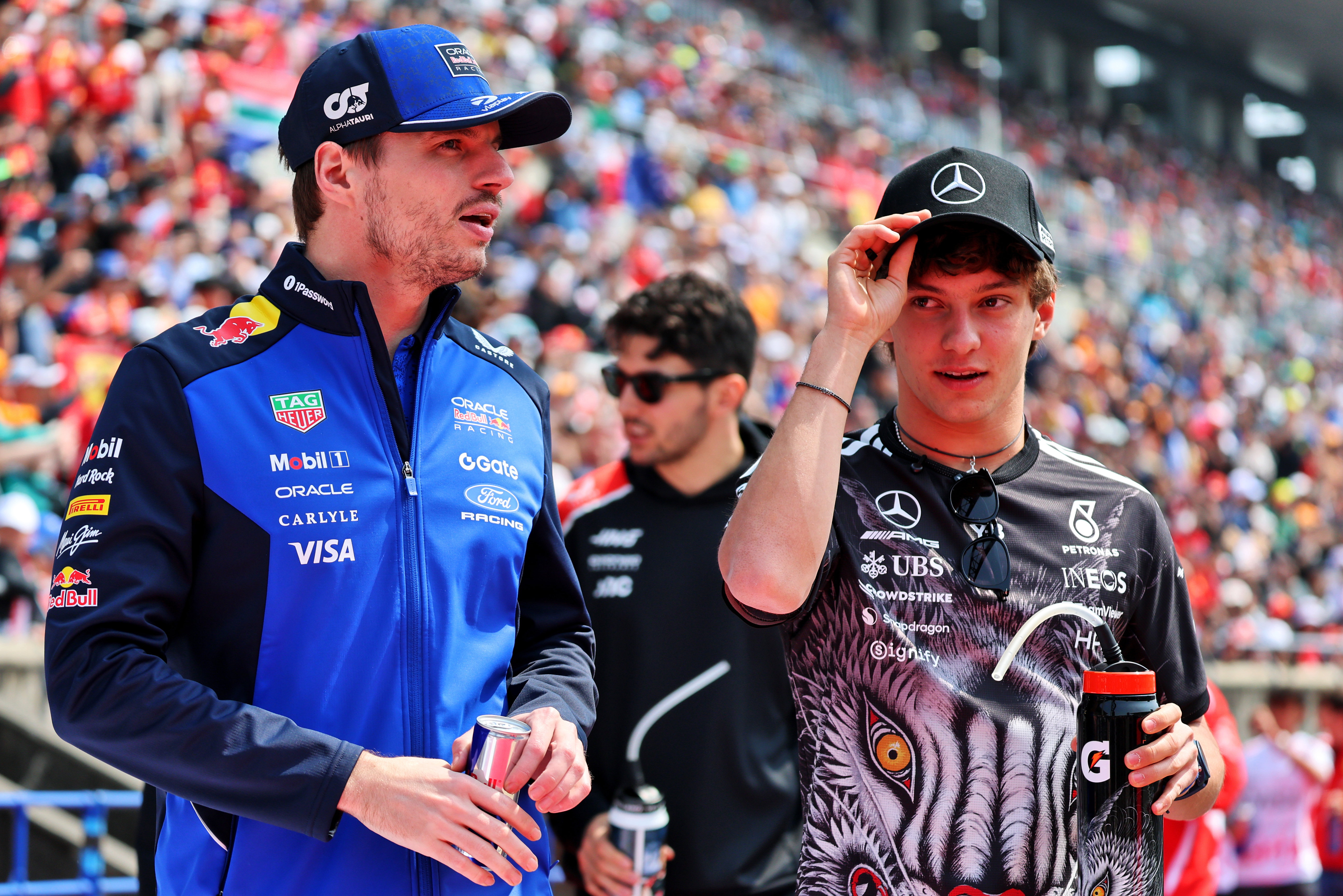 Antonelli Verstappen