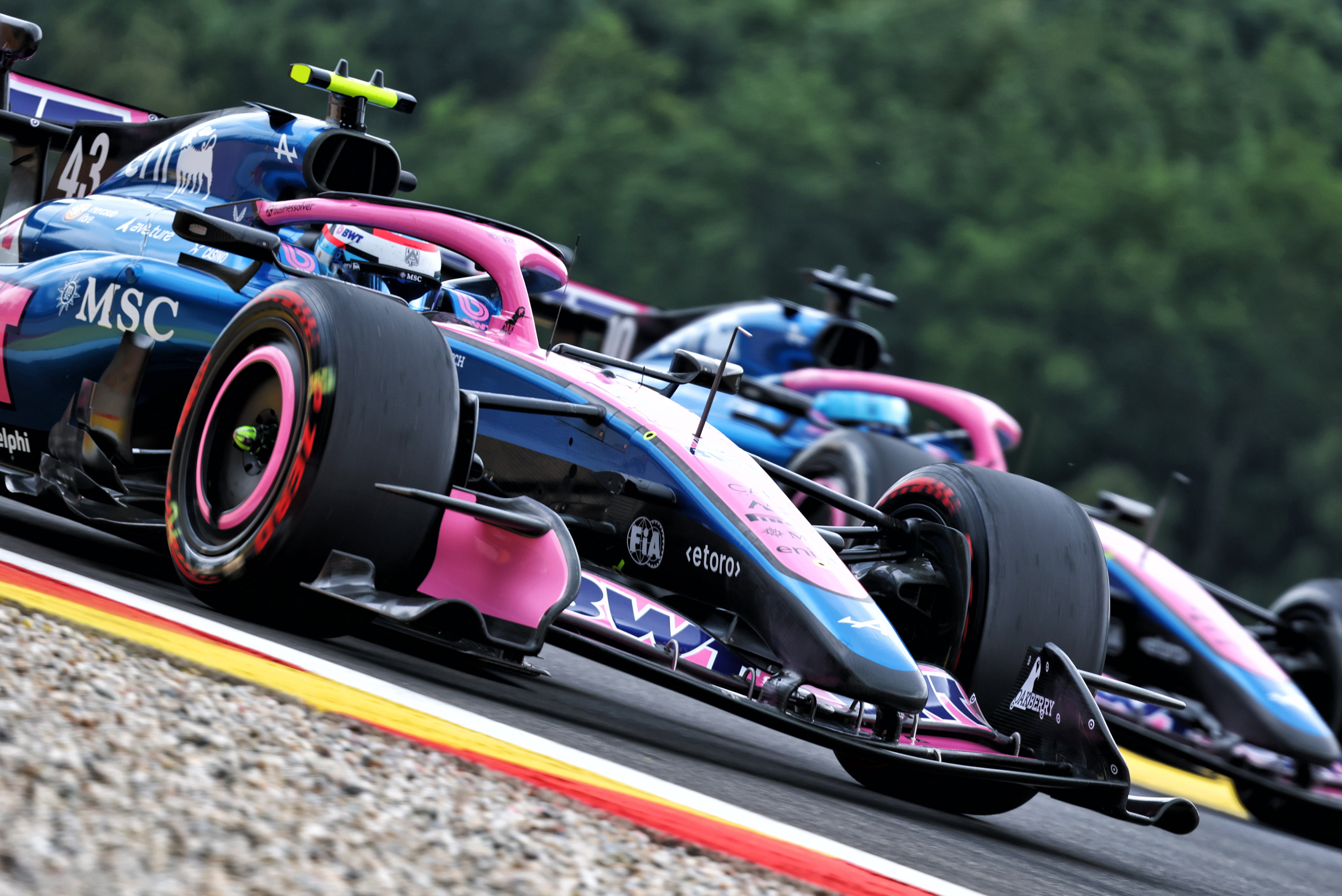 Colapinto Gasly