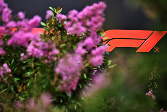 F1 logo