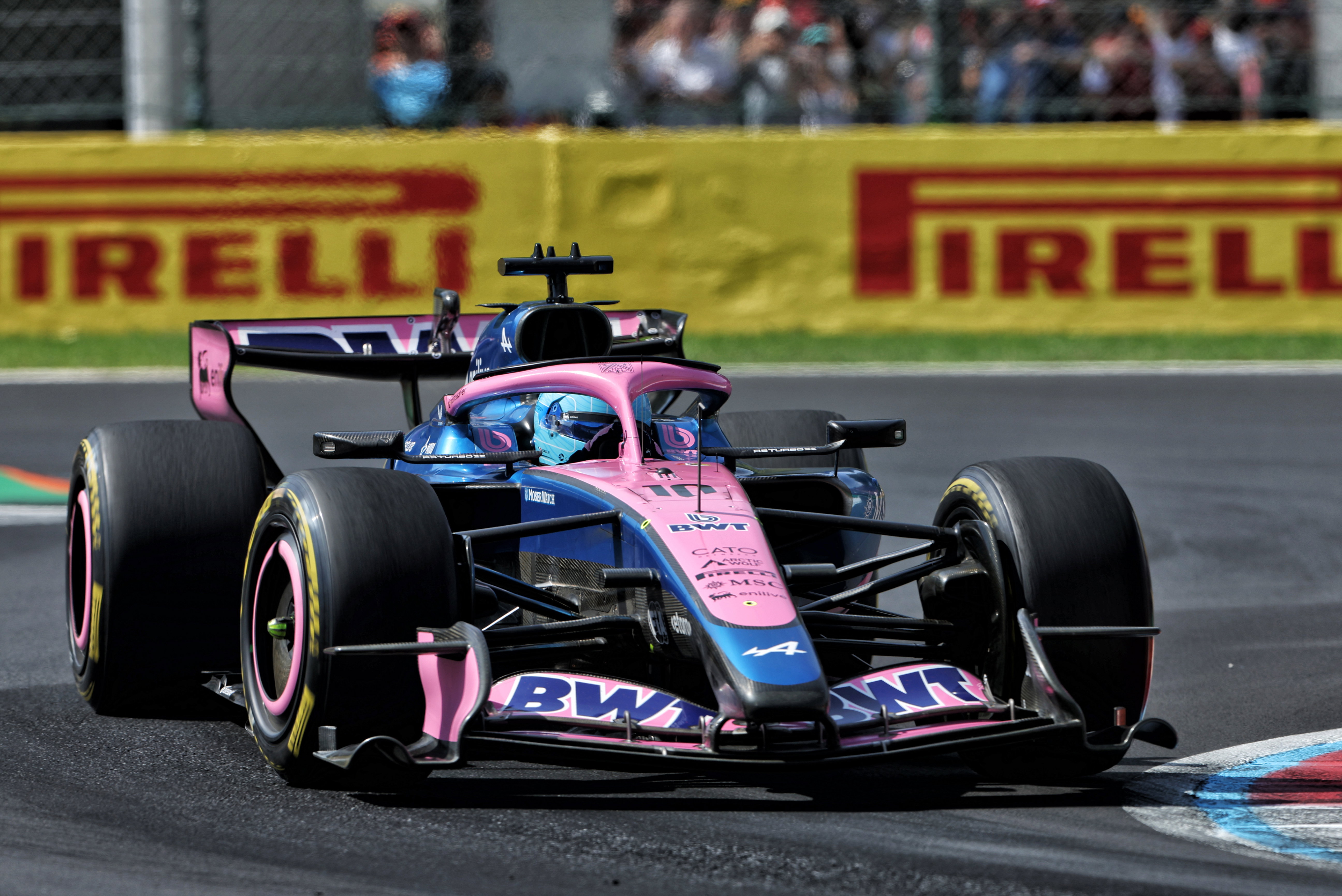 Gasly Monza
