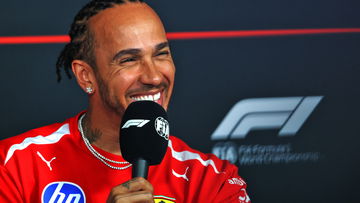 Lewis Hamilton makes a-moo-sing 'Max' revelation over adopted cow