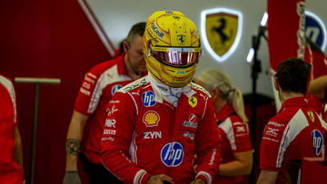 Lewis Hamilton urged to consider major career change