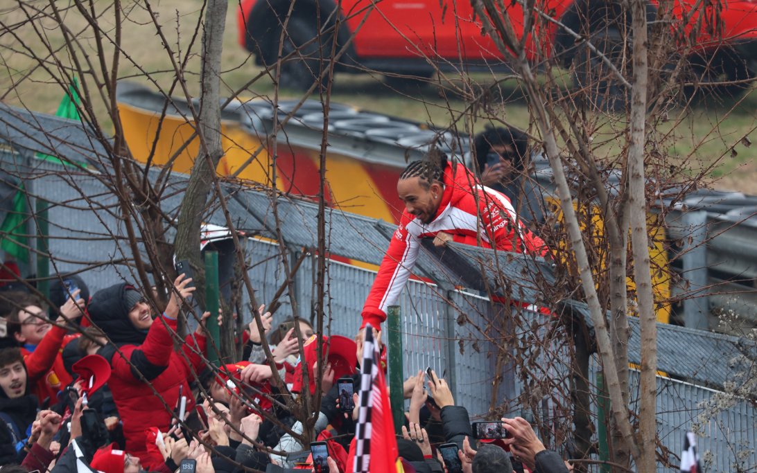 Hamilton Tifosi