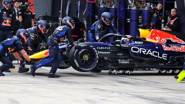 Davidson onthult nieuw probleem van Red Bull