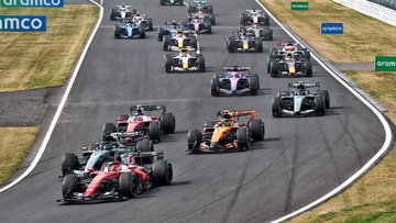 Mol fileert groep F1-fans: "Ruggengraat van een dode zalm"