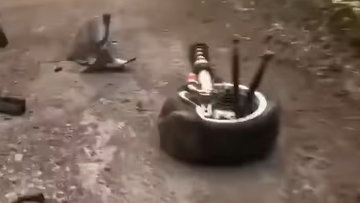 Video: De verwoestende rallycrash van Jos Verstappen