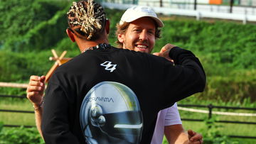 Lewis Hamilton backed for Sebastian Vettel phone call over Ferrari problem