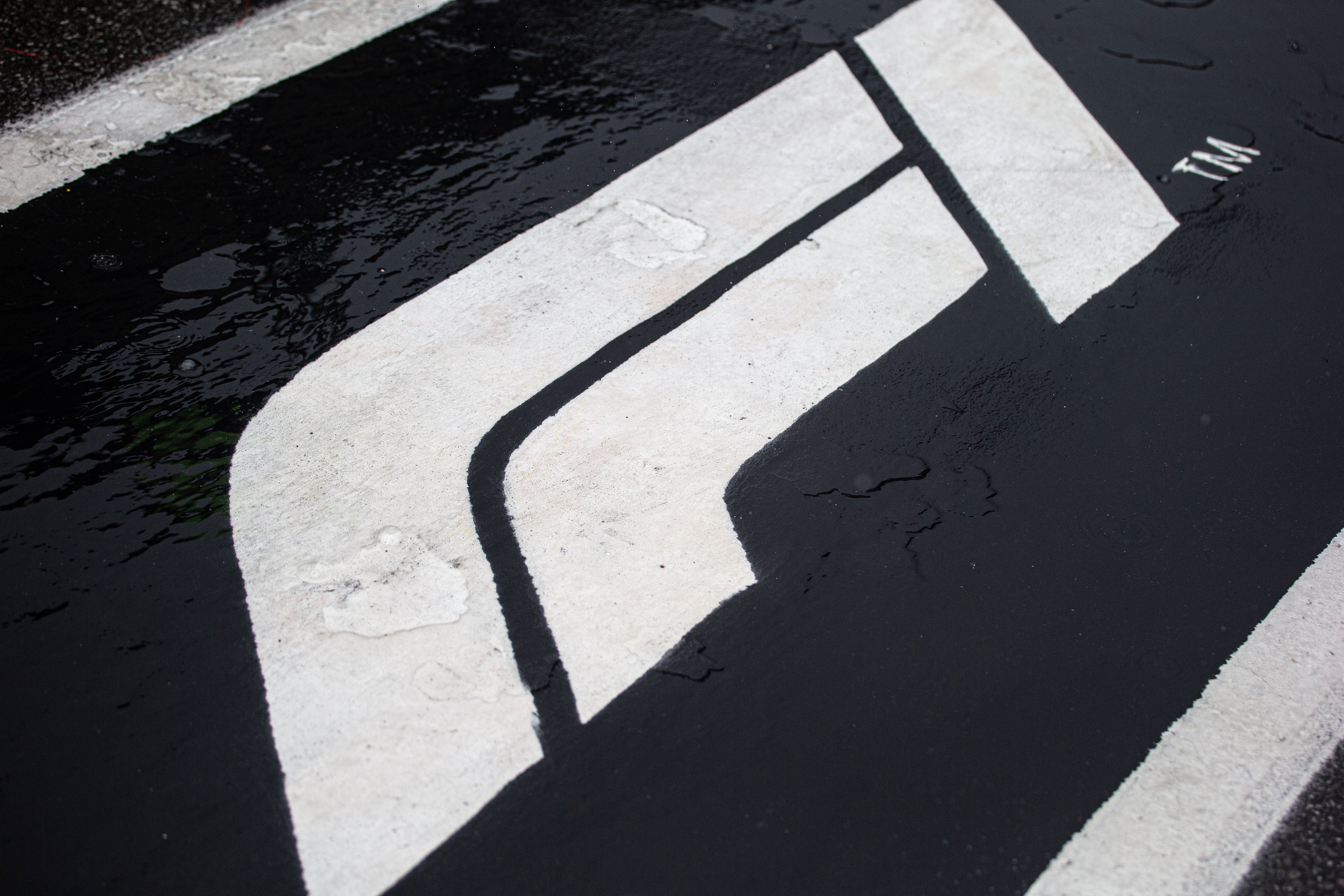 F1 Logo Hockenheim