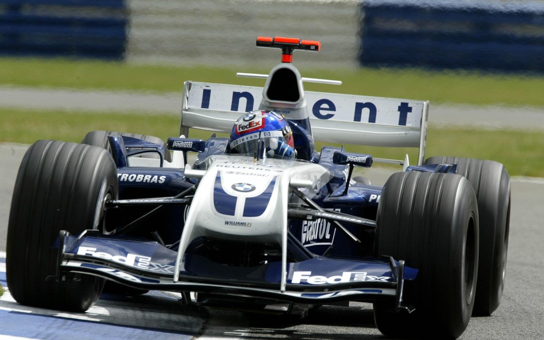 Williams Walrus Nose