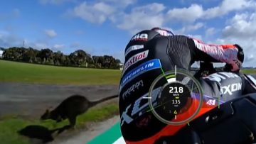 Motogp wallaby