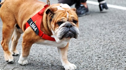 Roscoe