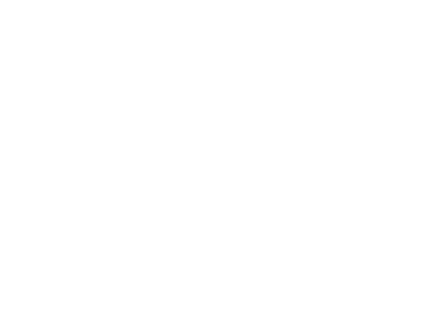 F1 2020 eif outline